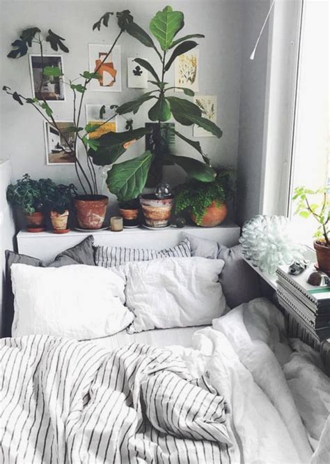 Urban Outfitters Bedroom Indoor Plant Succulent Ideas For The