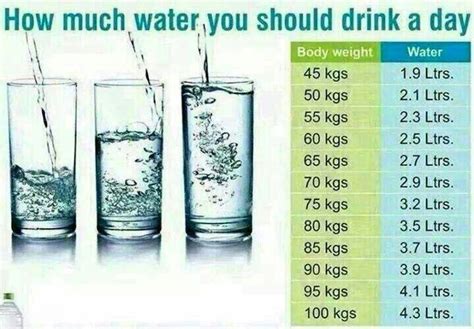 How much water should i drink to try and lose weight? How much Water you should drink a day