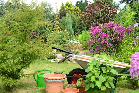 We did not find results for: Gartenarbeit im Juni - Alle Gartentipps in der Übersicht