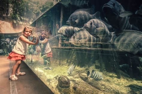 5 Best Zoos in Newcastle – Top Rated and Leading Zoos