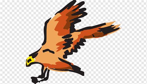 Hawks Clip Art Library