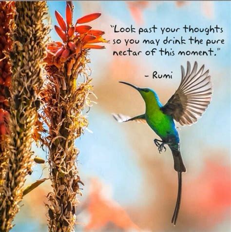 Pin By Mike Parks On Bodymindspirit Fitness Rumi Rumi Quotes Rumi