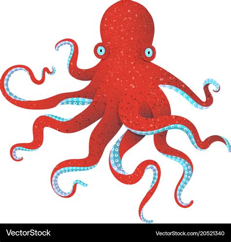 Red Octopus Royalty Free Vector Image Vectorstock