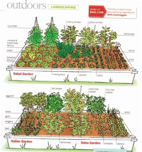 Staggering 4x8 Raised Bed Vegetable Garden Layout 29 Gardening Layouts