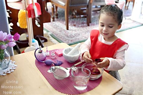 We did not find results for: Fabulous Practical Life: How to Make Rose Petal Perfume ...
