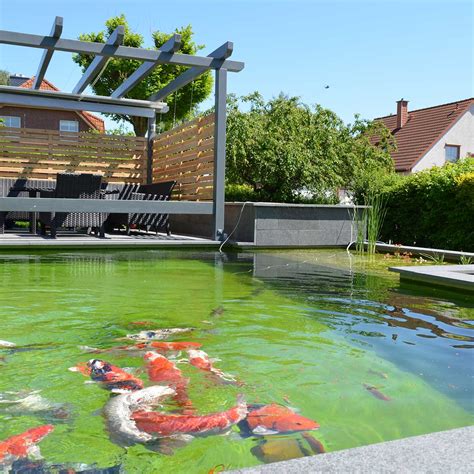 Great video footage that you won't find anywhere else. Gartenteich von Friedrichs Galabau aus Braunschweig