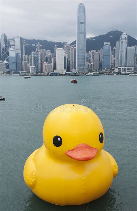 Giant Rubber Duck In Hong Kong Editorial Stock Photo Image Of