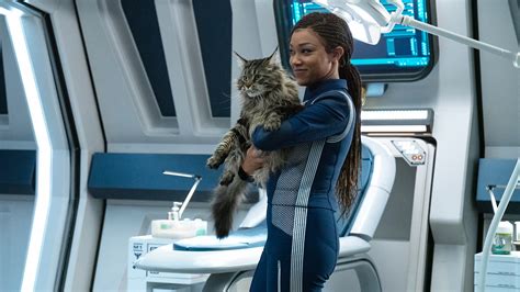 Ten years before kirk, spock, and the enterprise, the uss discovery discovers new worlds and lifeforms as one starfleet officer learns to understand all things alien.ten years before kirk, spock, and the enterprise, the uss. Watch Star Trek: Discovery Season 3 Episode 11: Su'Kal ...
