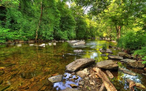 Green Forest By The Rocky River Wallpaper Nature Wallpapers 54029