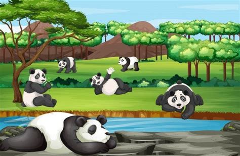 Many Pandas Playing In The Park