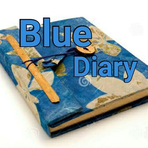 Blue Diary Youtube