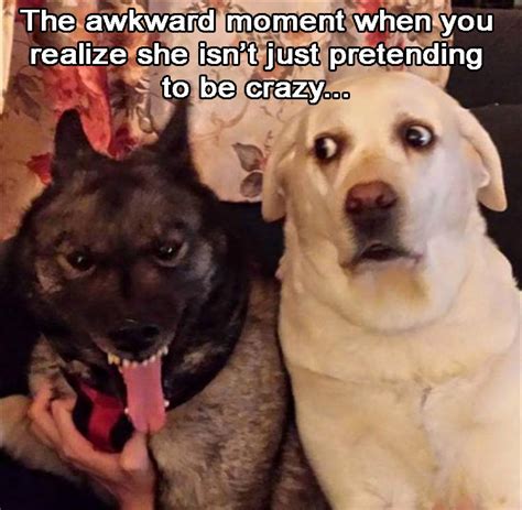 Funny Animal Pictures Of The Day 26 Pics
