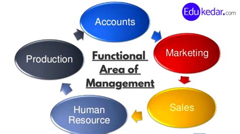Levels Of Management 3 Functional Area And Types Of Managers