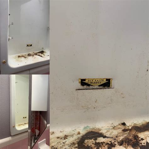If provoked, i will react. Original medicine cabinet from 1959 has a slot for used ...