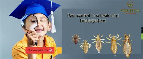 Pest Control For Schools And Kindergartens Coltiva