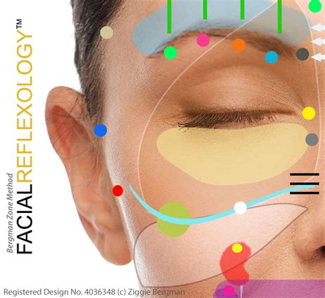 facial reflexology bergman method the reflexology corner