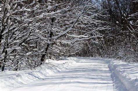 Free Picture Frozen Road Snow Tree Weather Winter Wood