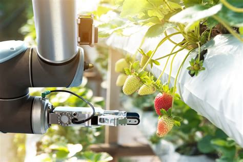 Outlook 4 Ways Robotics Will Change Agriculture In 2019