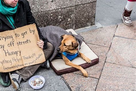 Heartwarming Photographs Of Homeless People With Their Dogs Homeless