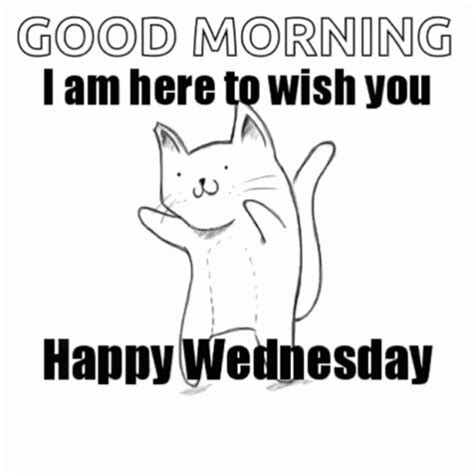 Good Morning Happy Wednesday Cat Dancing 