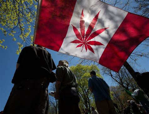 Is binance safe to use? Cannabis Act: in Canada la marijuana è legale | nextQuotidiano