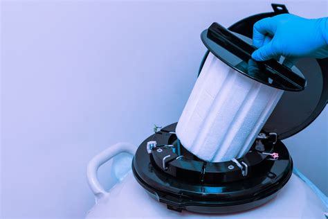 But egg freezing, which stores the eggs for future fertilization, sort of like ivf on retainer, is still a new frontier. Apple and Facebook Announce They Will Cover Egg Freezing ...