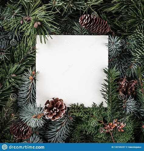 Creative Layout Made Of Christmas Tree Branches With Paper Card Note