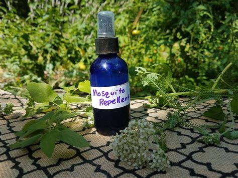 This repellent is designed for external use only so don't get any silly ideas. Homemade Mosquito Repellent Spray