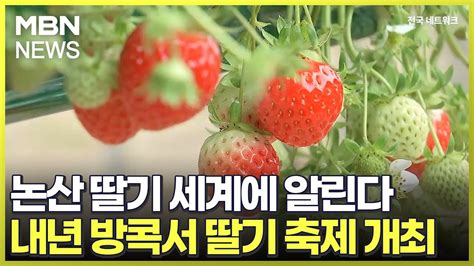 논산 딸기 세계에 알린다내년 방콕서 딸기 축제 개최 전국네트워크 YouTube