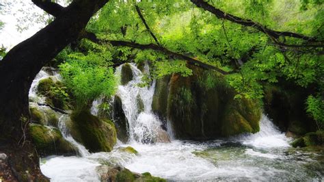 Waterfalls From Rocks River Stream Green Leaves Trees Branches Hd