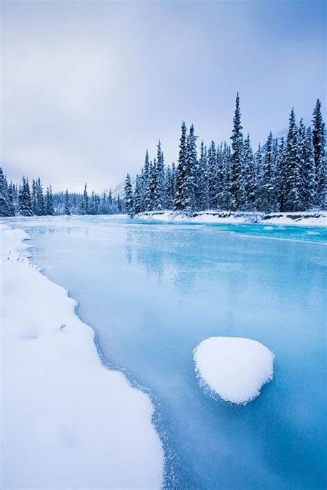Wheaton River Yukon Canada Beautiful Nature Winter Scenes Cool