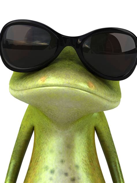 A Frog With Sunglasses Witzige Bilder Zum Totlachen Lustige Bilder
