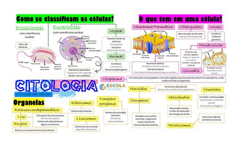 Mapa mental sobre Citologia - Baixe grátis em PDF!