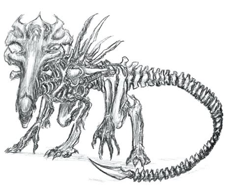 Predator coloring pages will take you into a legendary war between two famous popular science characters. Alien Vs Predator Coloring Pages at GetColorings.com ...