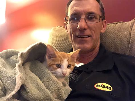 ‘miracle Kitten Survives 30 Mile Journey Lodged In Frame Of Car