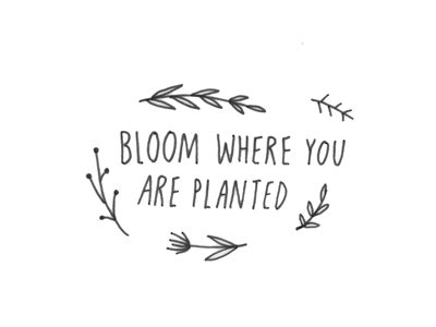 Grow where you're planted. war of the should. Lied en Aboo: Bloom where you are planted...