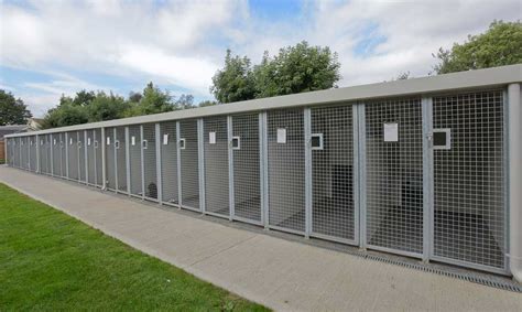 Dog Boarding Kennels Quiet Acres Braiseworth Eye Suffolk