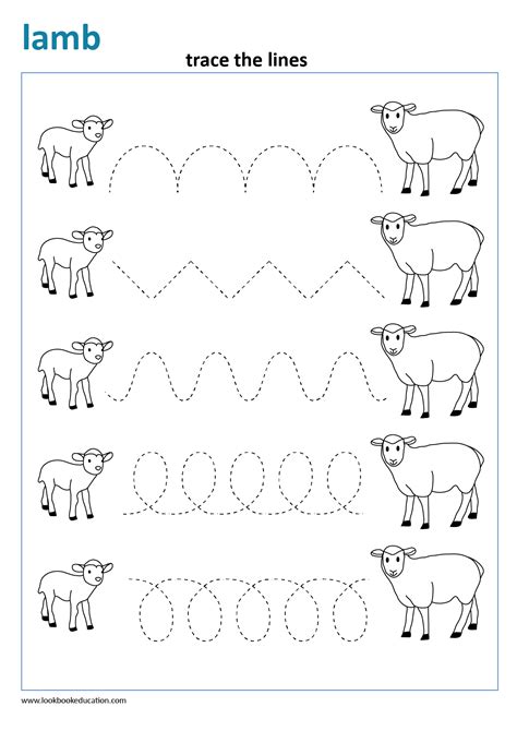 Worksheet Tracing Lamb Spring Lookbook Education 6d3