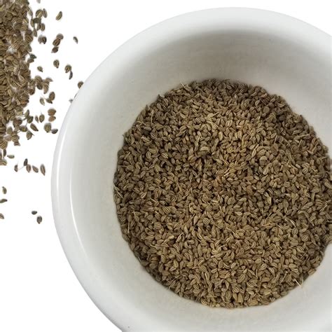 Ajwain (carom seeds) (carom seeds) is one of the best ayurvedic herbs for the treatment of any vata vitiated disorder in the body. Fresh Bulk Ajwain Seeds / Carom Seeds - 8 oz, 1 lb, 2 lb ...