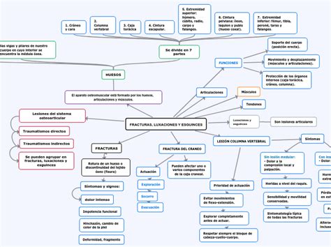 FRACTURAS LUXACIONES Y ESGUINCES Mind Map