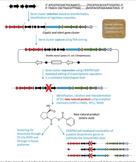 Figure 1 From Triggering The Expression Of A Silent Gene Cluster From