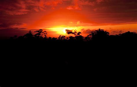Free African Sunrise Stock Photo