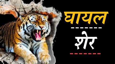 Motivational Video 2020 Ghayal Sher In Hindi Superhuman Formula