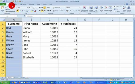 How Tosort Data In Excel 2010 Youtube