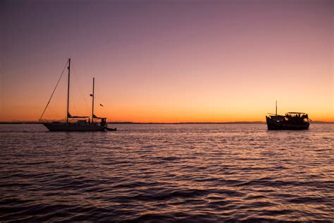 The imdb editors have selected the films they're most excited to see in 2021. Hulu offers politically-charged thriller 'Safe Harbour ...
