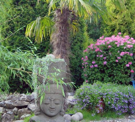 Tipps zum kultivieren von winterharten palmen. Palmen Pflanzen | Mediterranen Pflanzen im Garten | Bambus ...