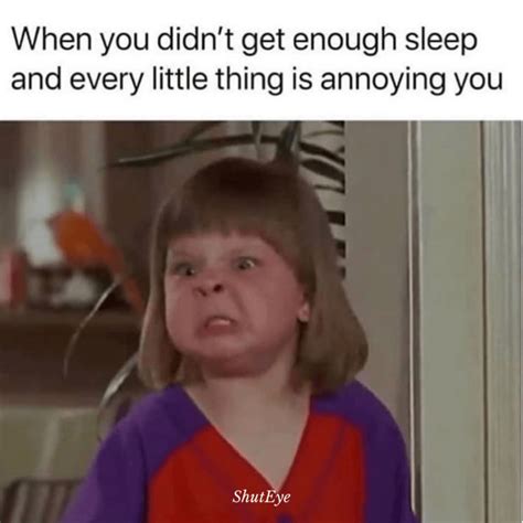 Of The Funniest Can T Sleep Memes Ever Shuteye