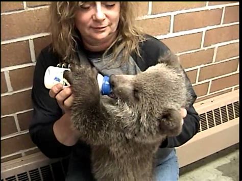 Bottle Feeding Grizzly Bear Cub Youtube