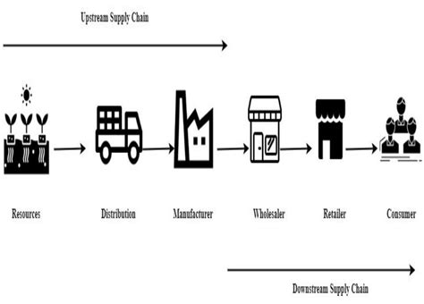 Phases Of Supply Chain Download Scientific Diagram
