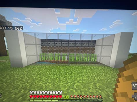 Why doesn’t this sugar cane farm work the sugar cane won’t grow : r